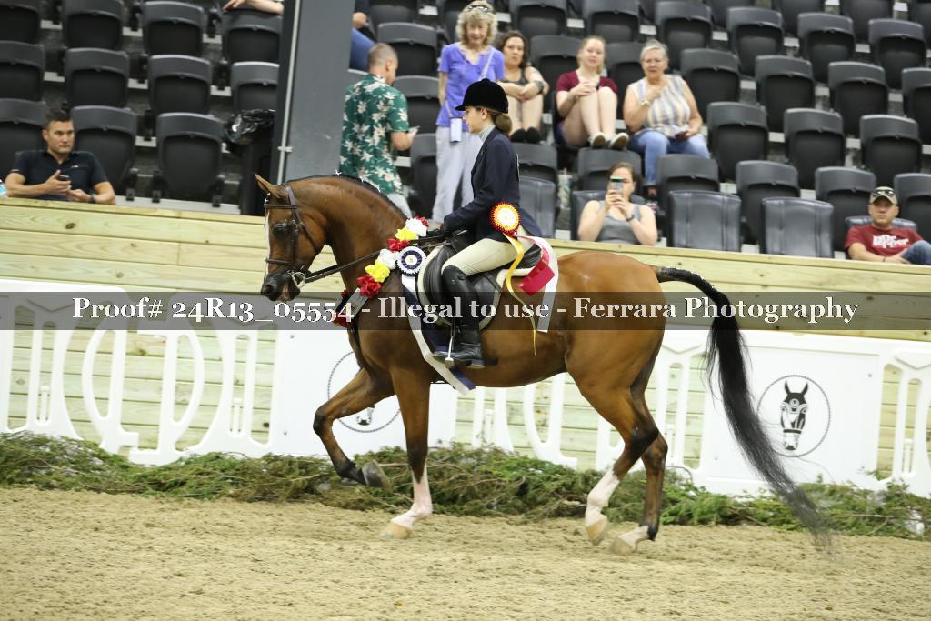 Proof 24R13_05554