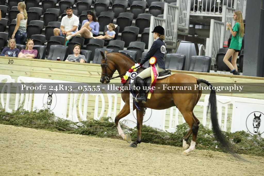 Proof 24R13_05555