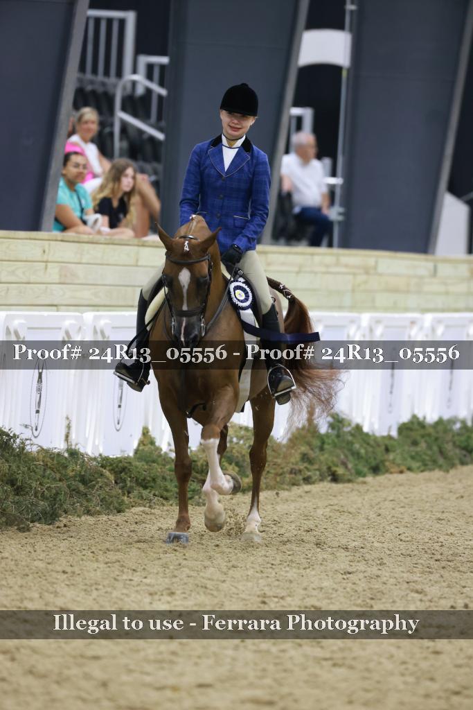 Proof 24R13_05556