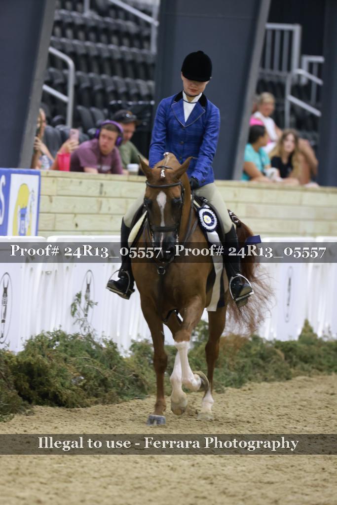 Proof 24R13_05557