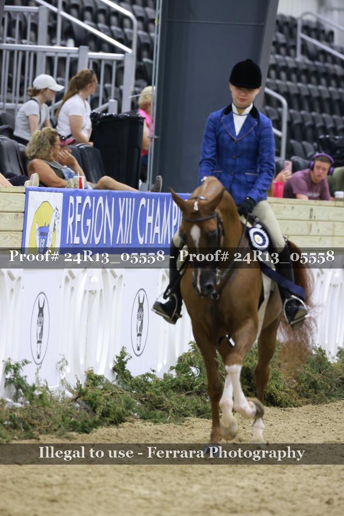 Proof 24R13_05558