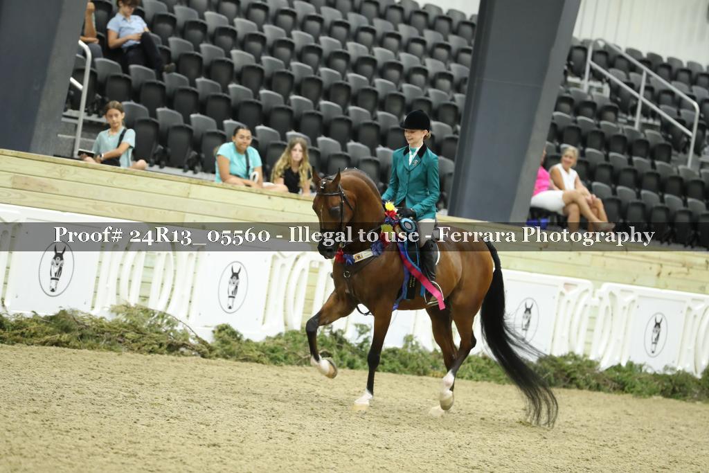 Proof 24R13_05560