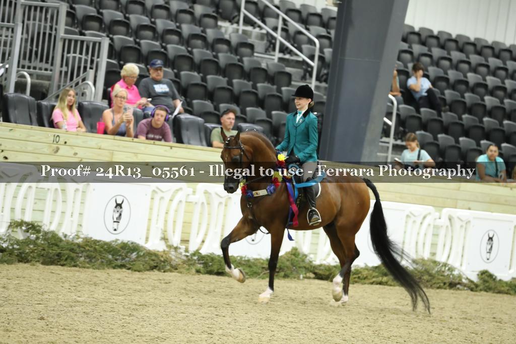 Proof 24R13_05561