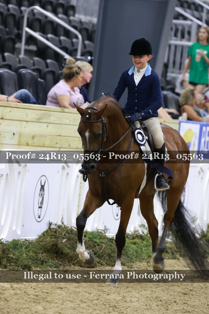 Proof 24R13_05563