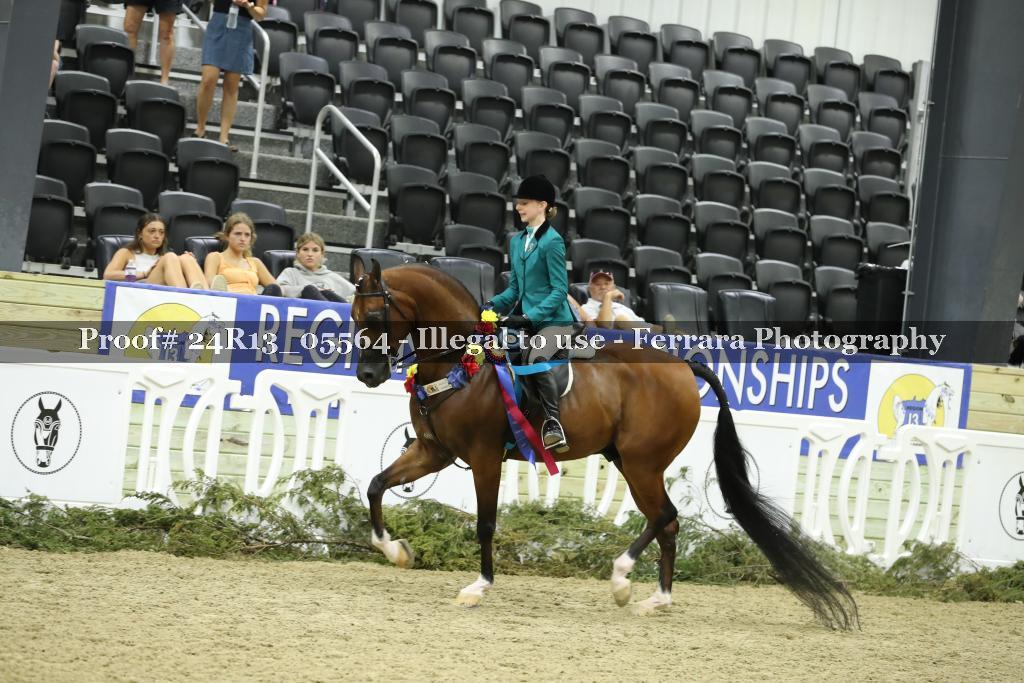 Proof 24R13_05564
