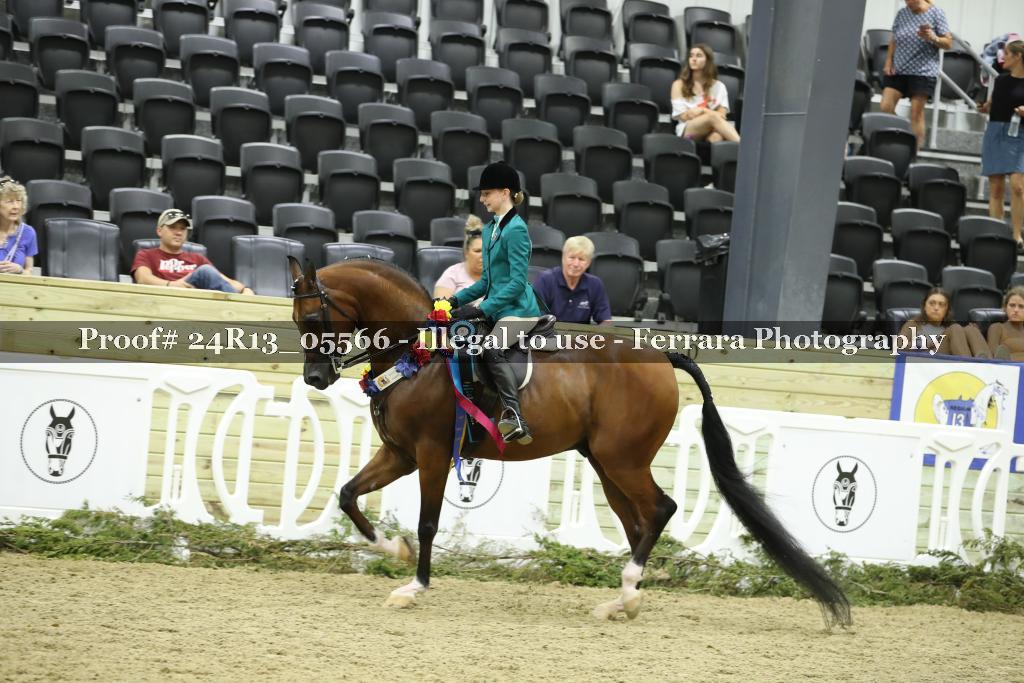 Proof 24R13_05566