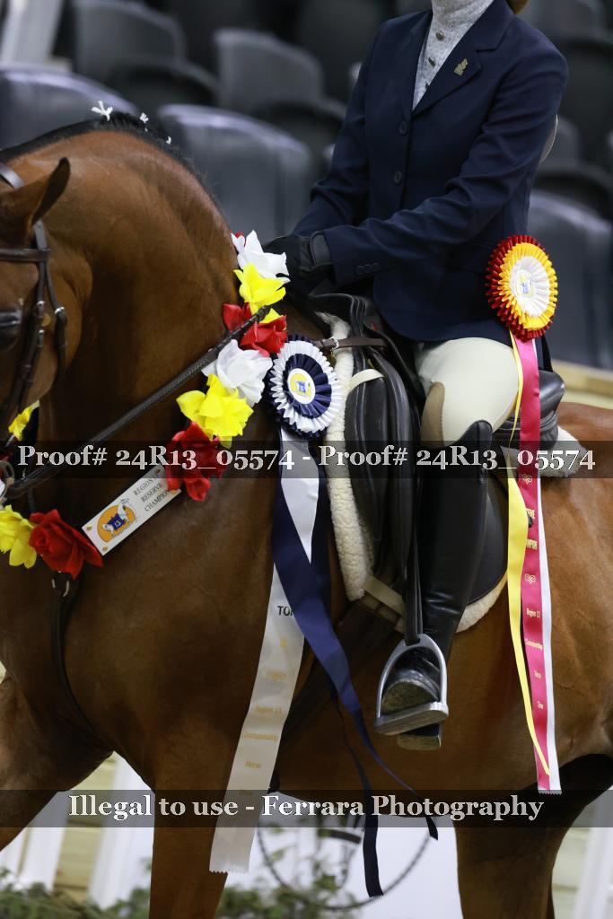 Proof 24R13_05574