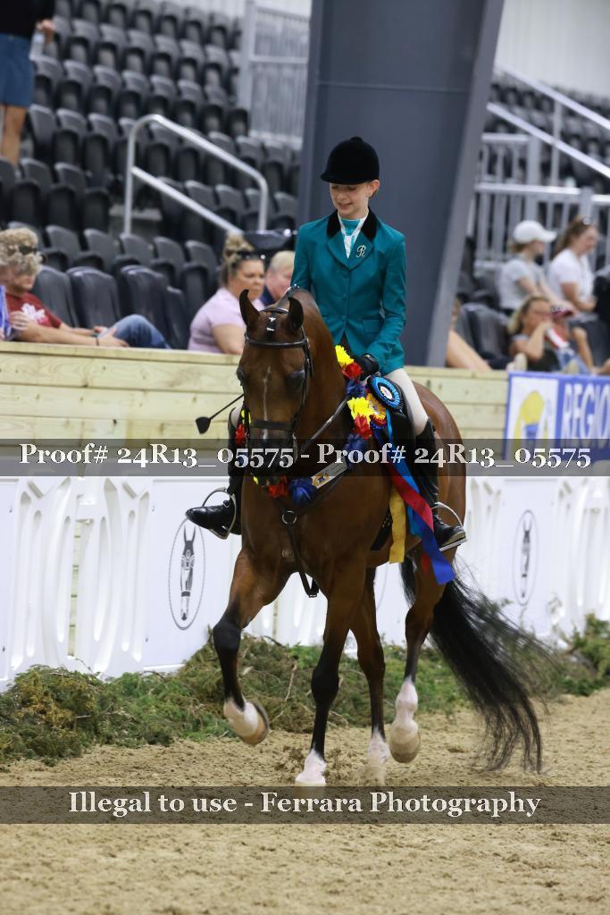 Proof 24R13_05575