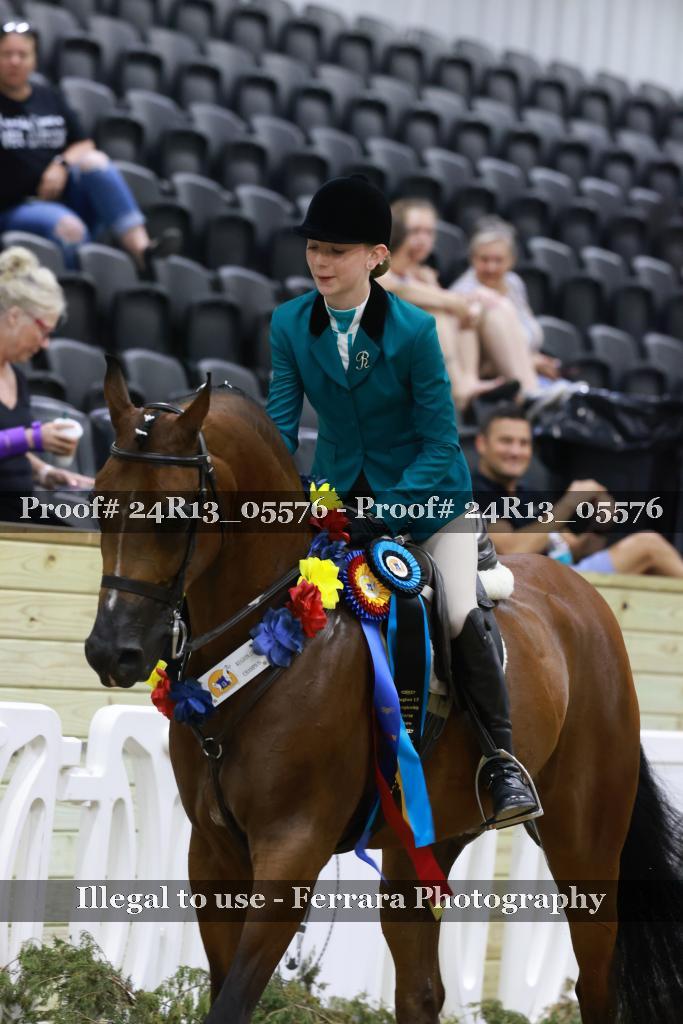 Proof 24R13_05576