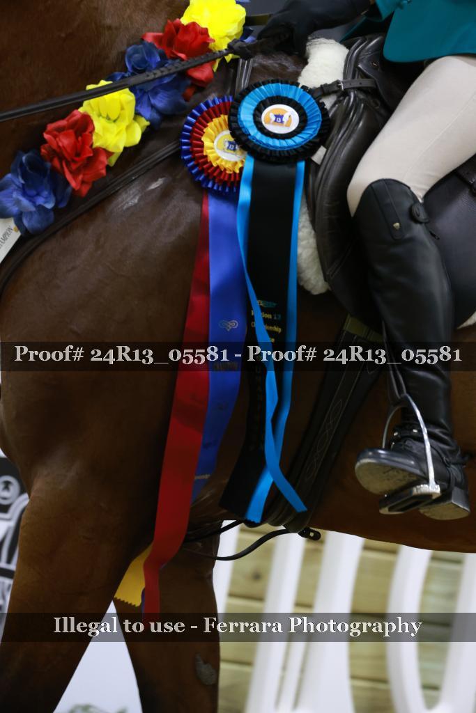 Proof 24R13_05581