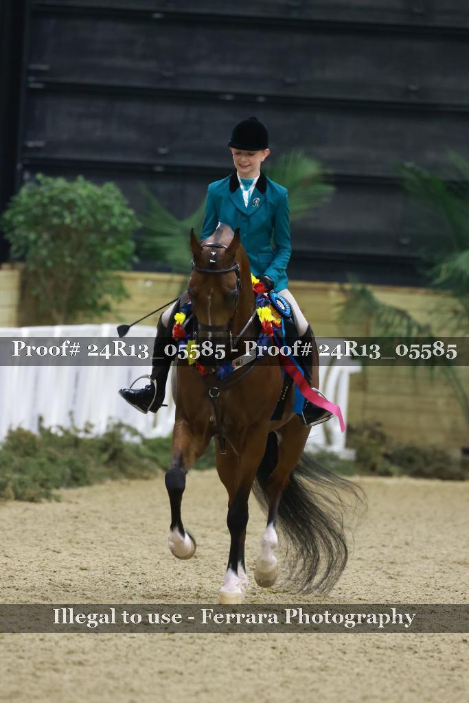 Proof 24R13_05585
