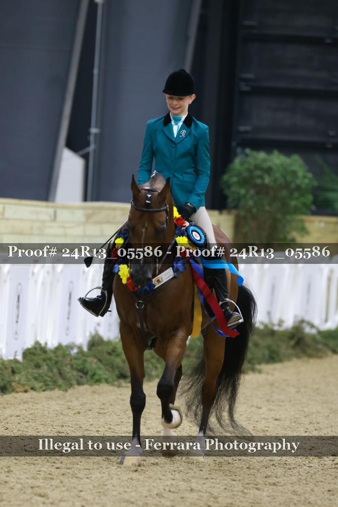 Proof 24R13_05586