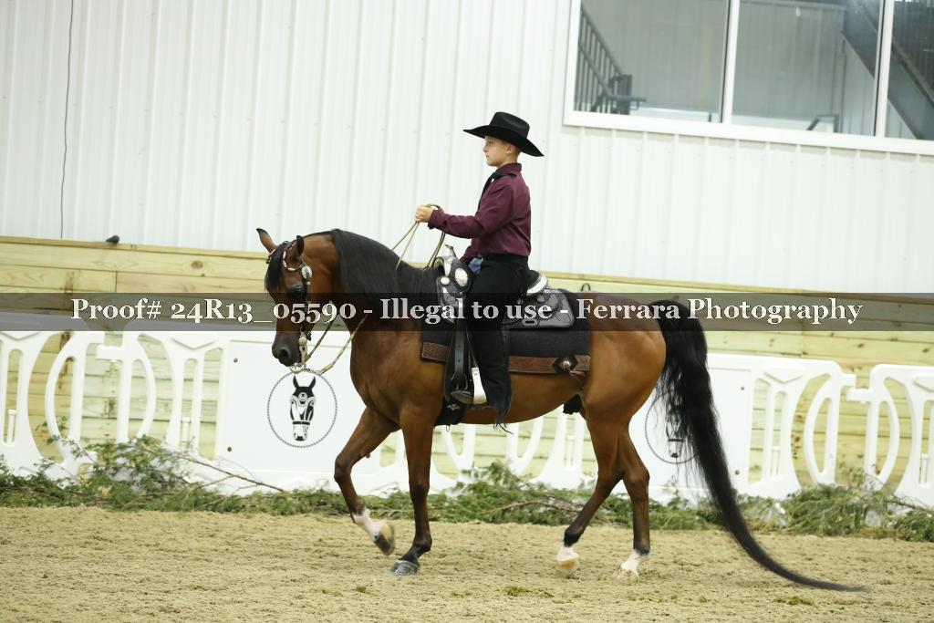 Proof 24R13_05590