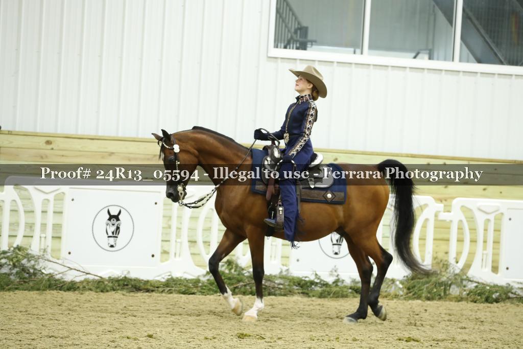 Proof 24R13_05594