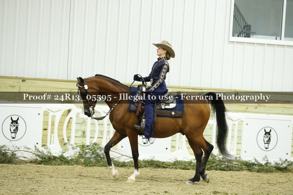 Proof 24R13_05595