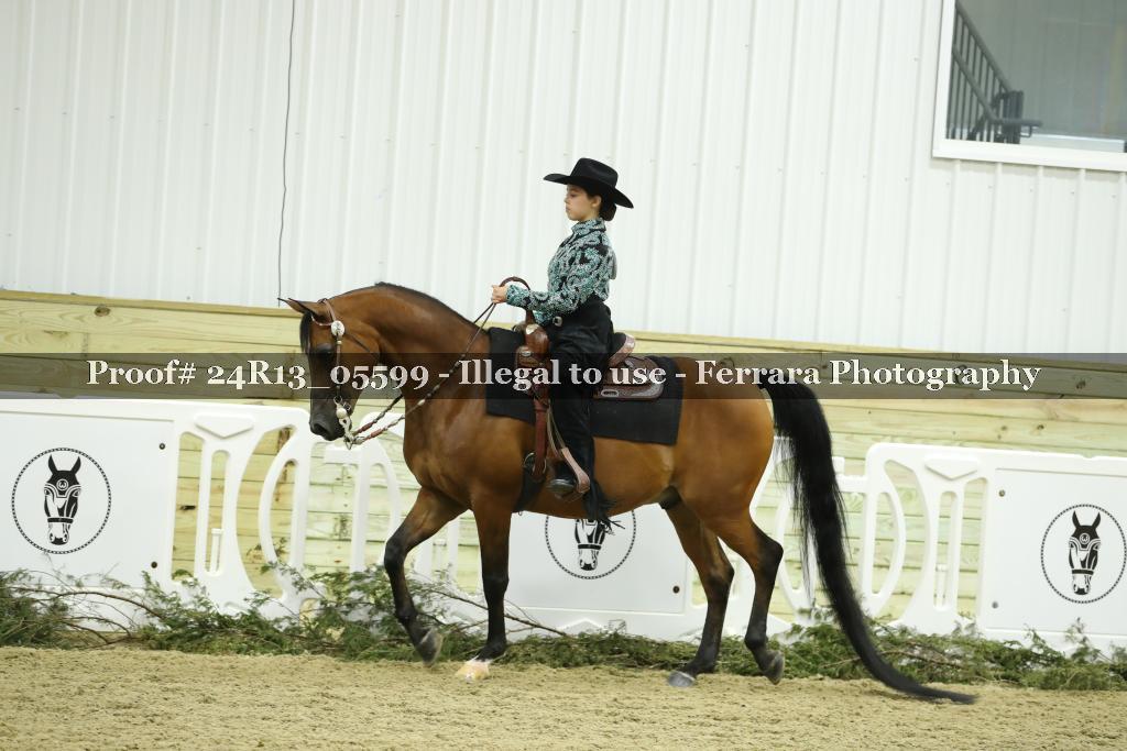 Proof 24R13_05599