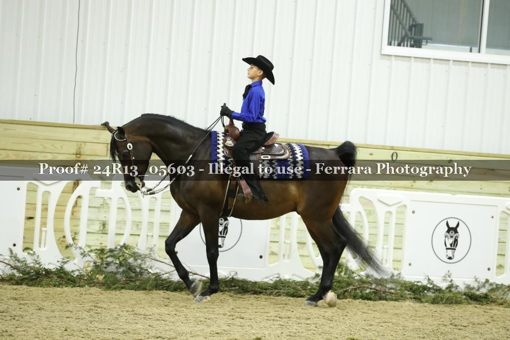 Proof 24R13_05603