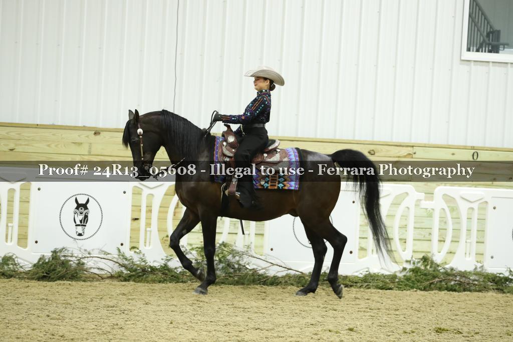 Proof 24R13_05608