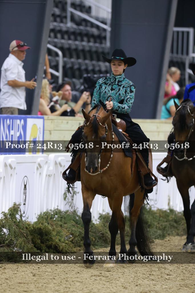 Proof 24R13_05618