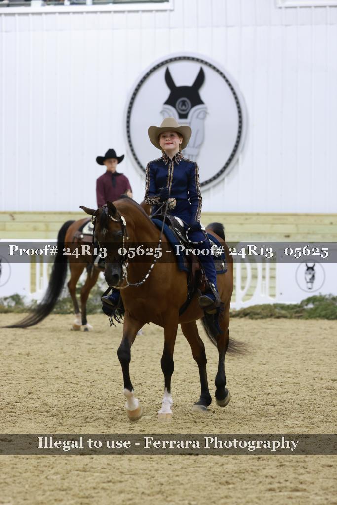 Proof 24R13_05625