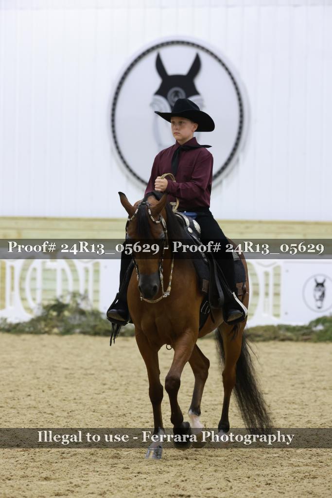 Proof 24R13_05629