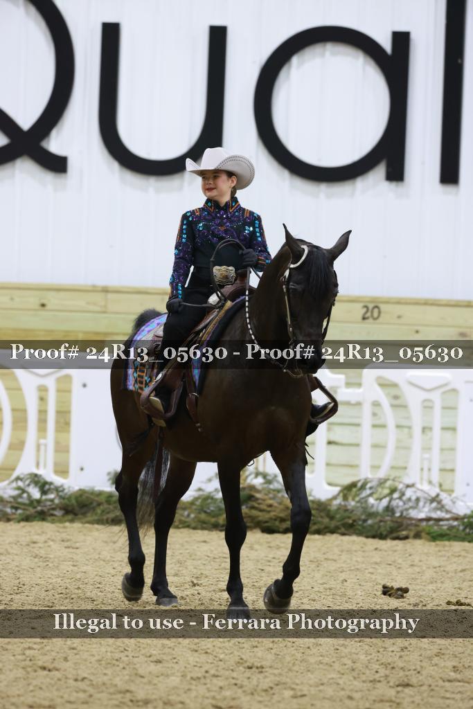 Proof 24R13_05630