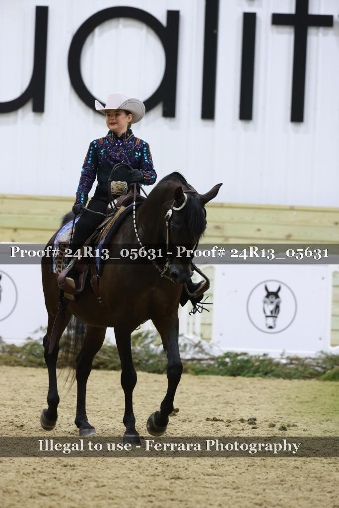 Proof 24R13_05631