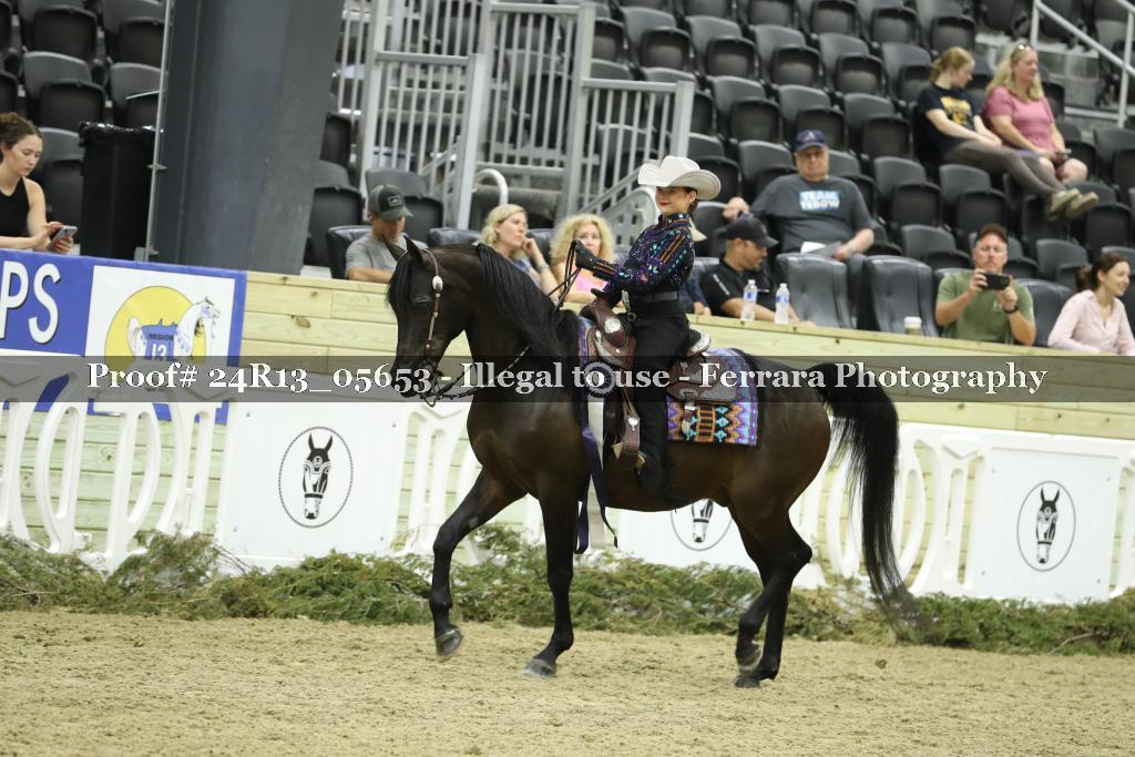 Proof 24R13_05653