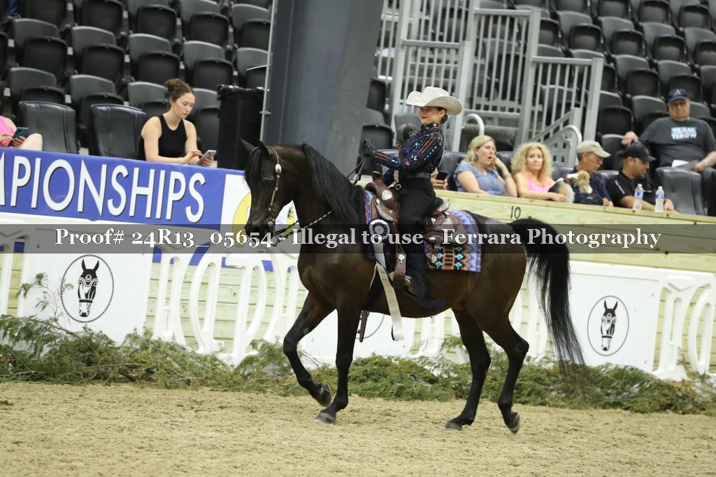 Proof 24R13_05654