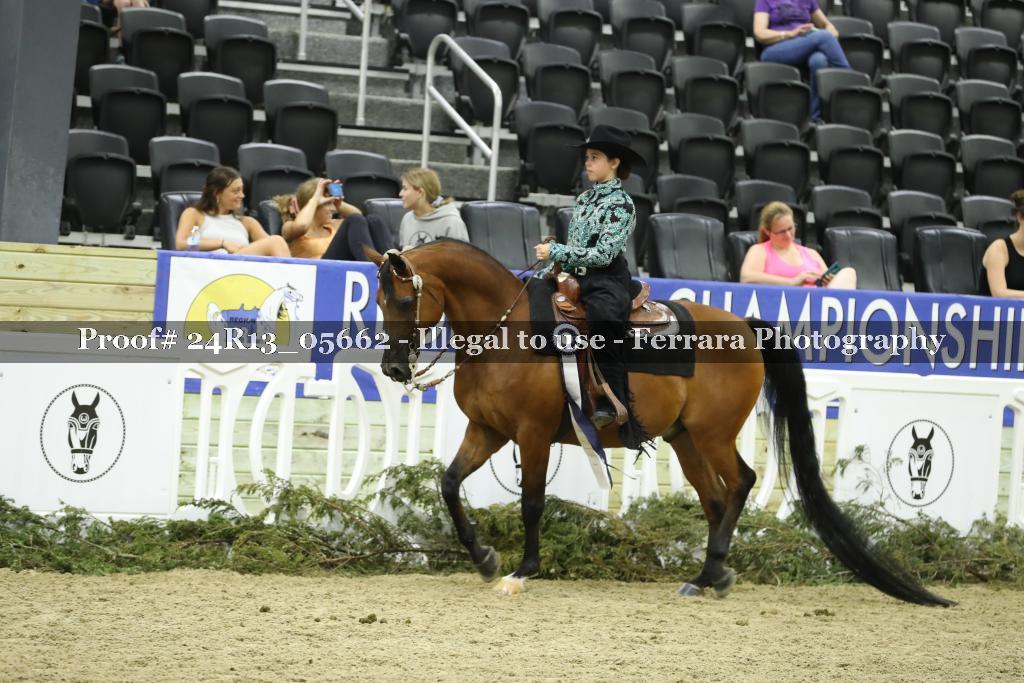 Proof 24R13_05662