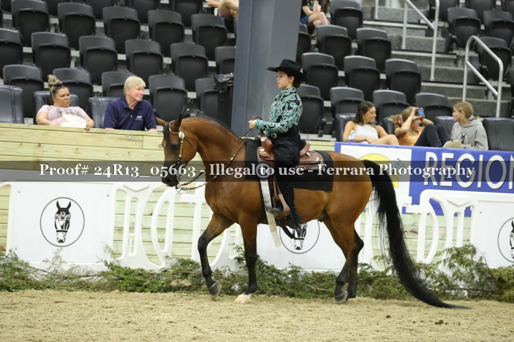 Proof 24R13_05663