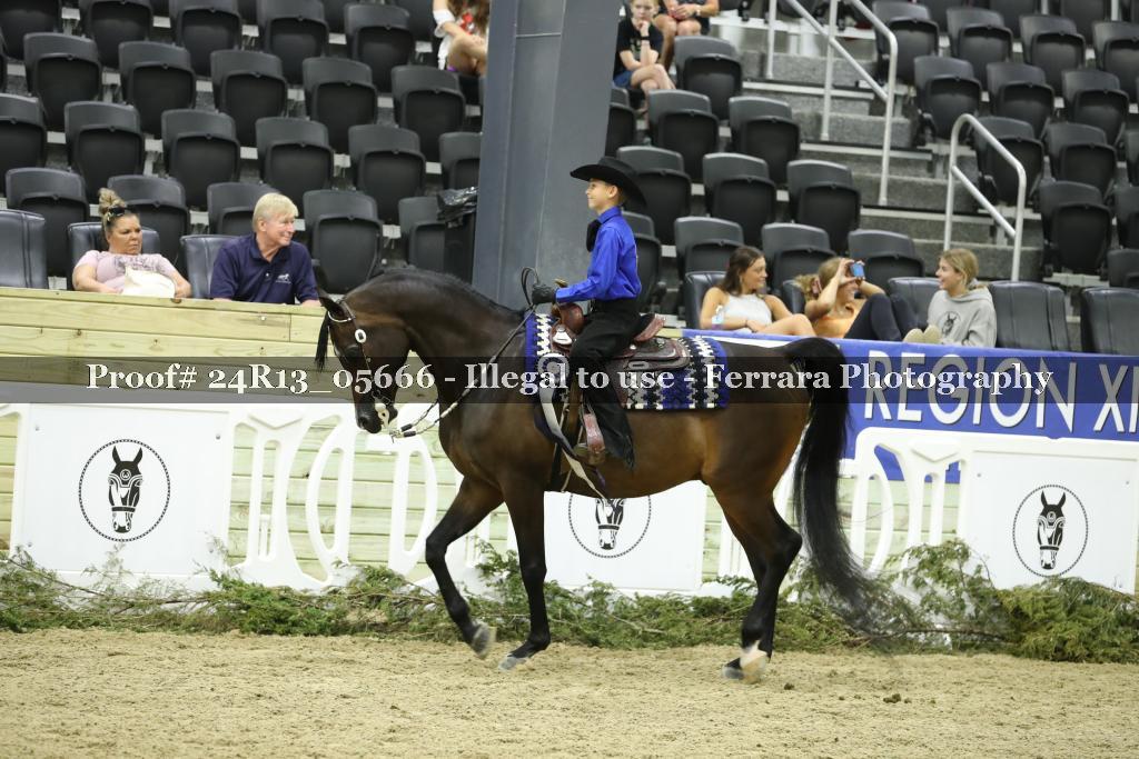 Proof 24R13_05666
