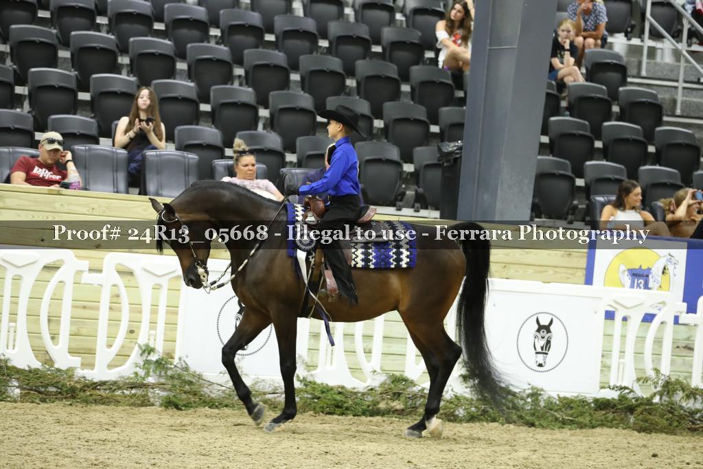Proof 24R13_05668
