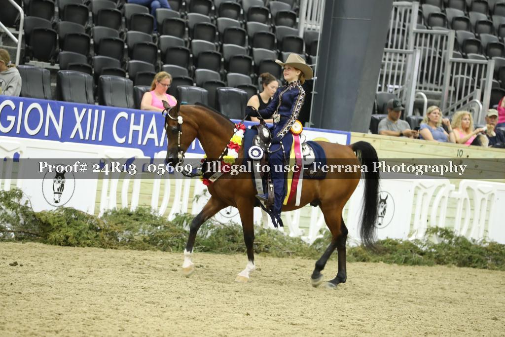 Proof 24R13_05669