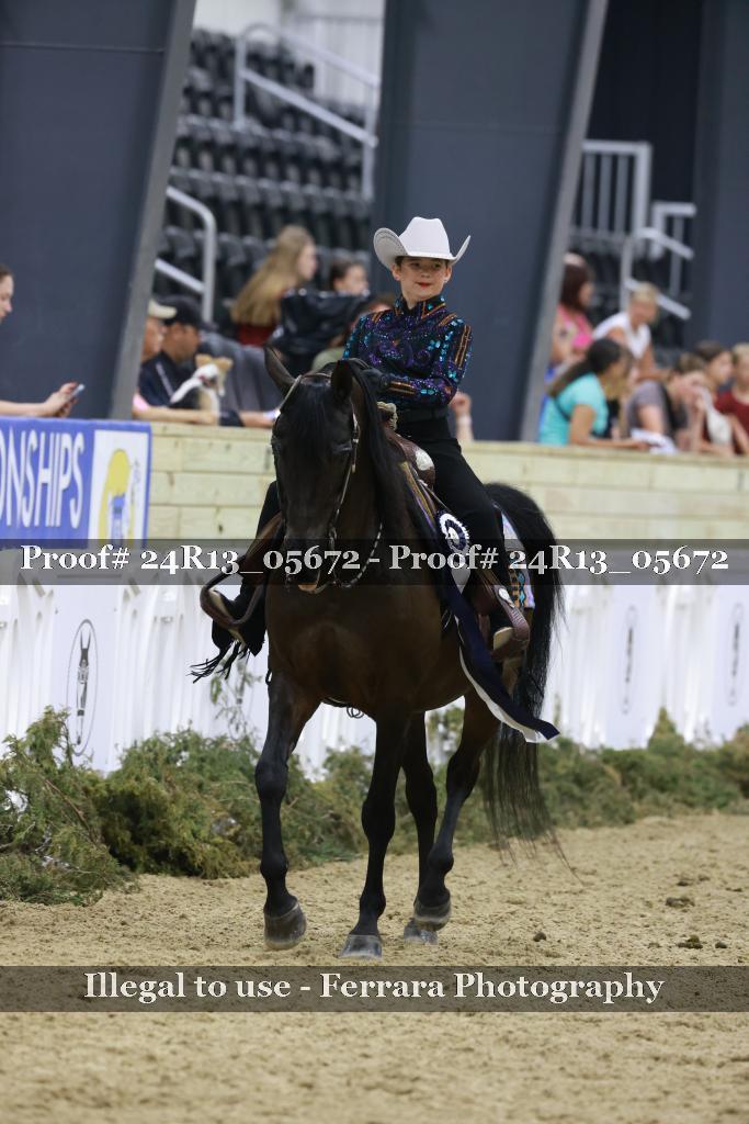 Proof 24R13_05672