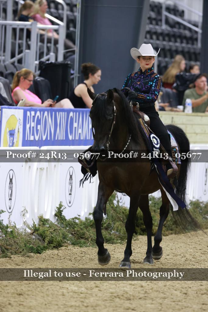 Proof 24R13_05677