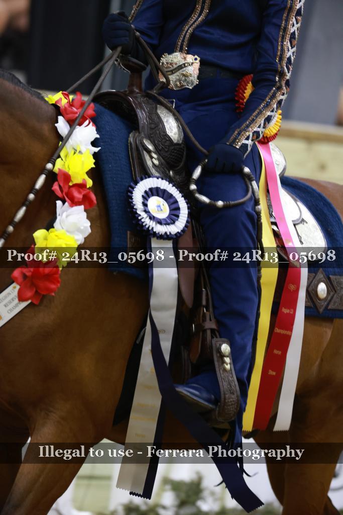 Proof 24R13_05698