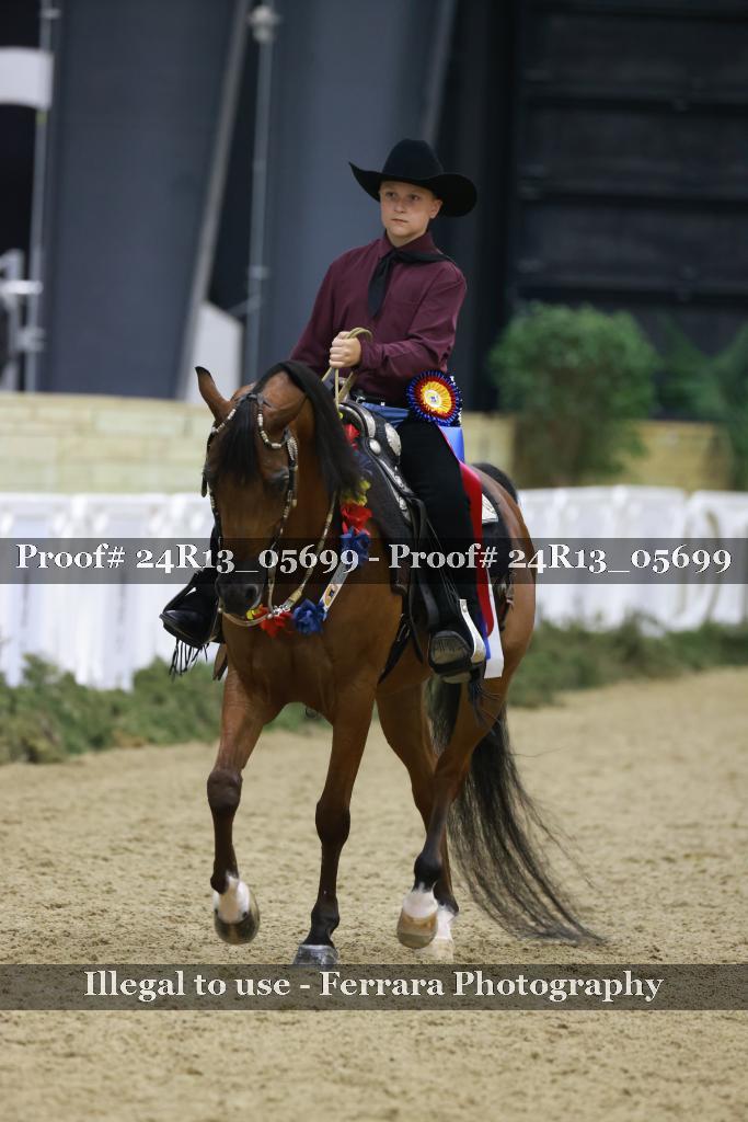 Proof 24R13_05699