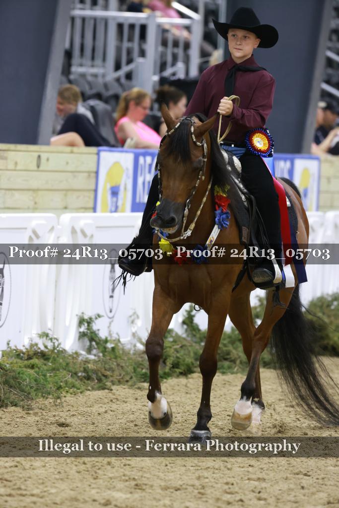 Proof 24R13_05703