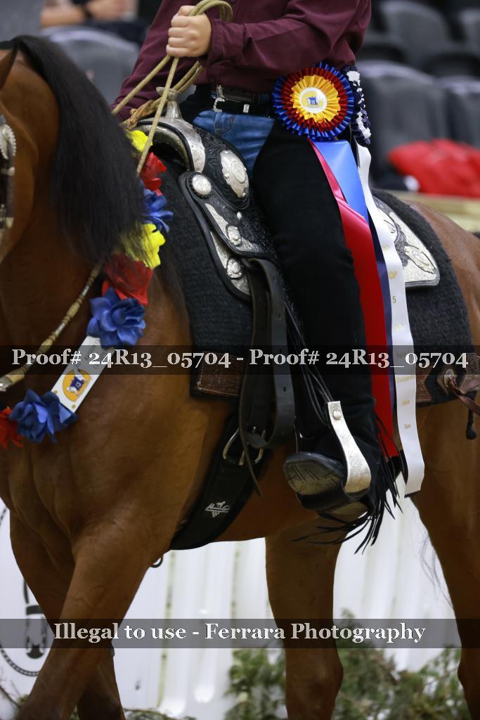 Proof 24R13_05704