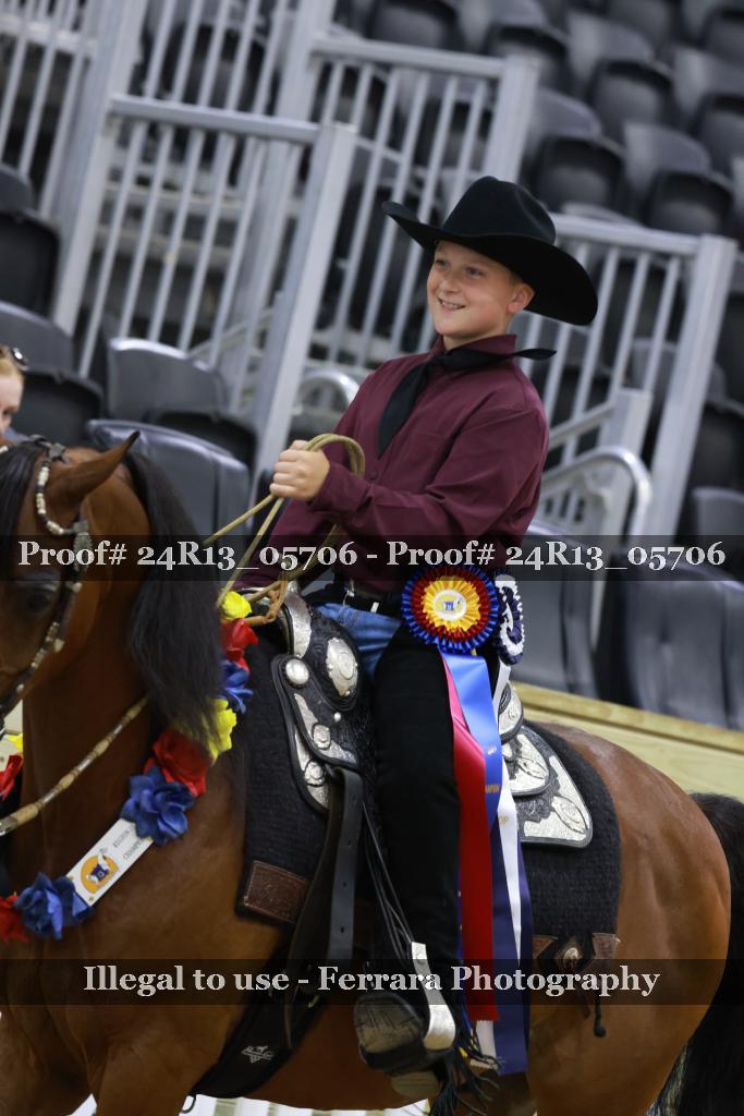 Proof 24R13_05706
