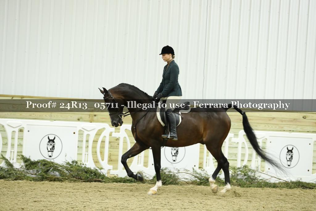 Proof 24R13_05711