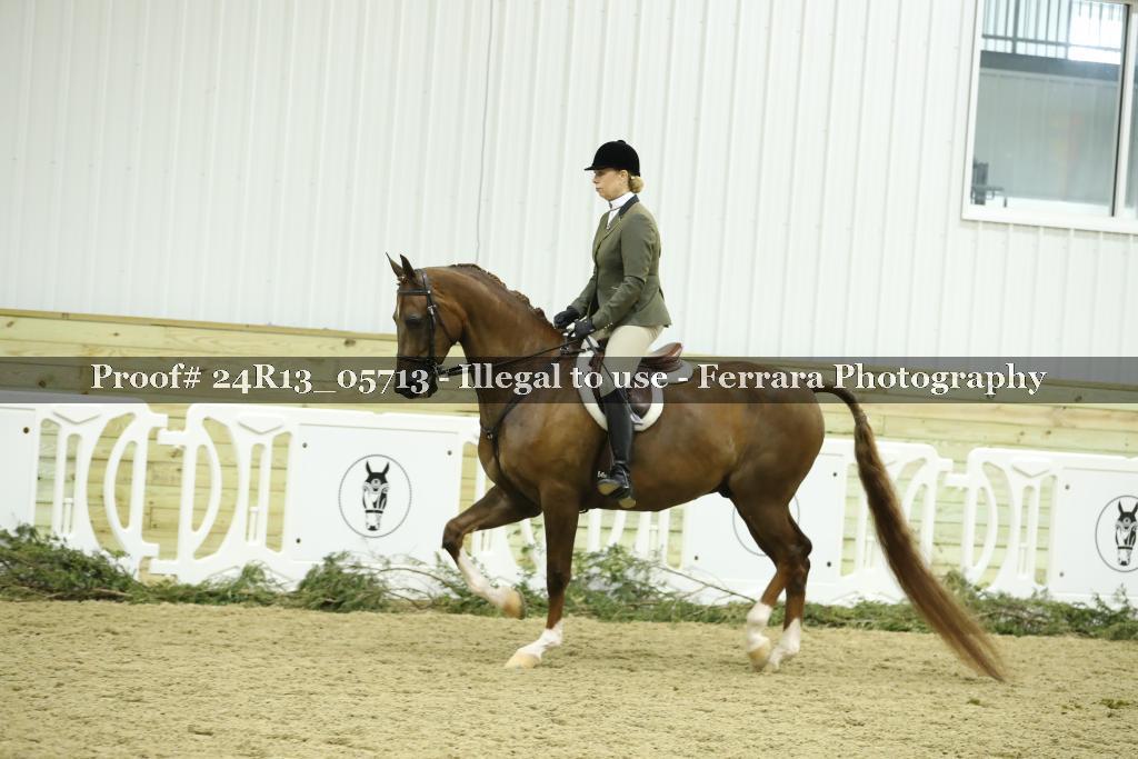 Proof 24R13_05713