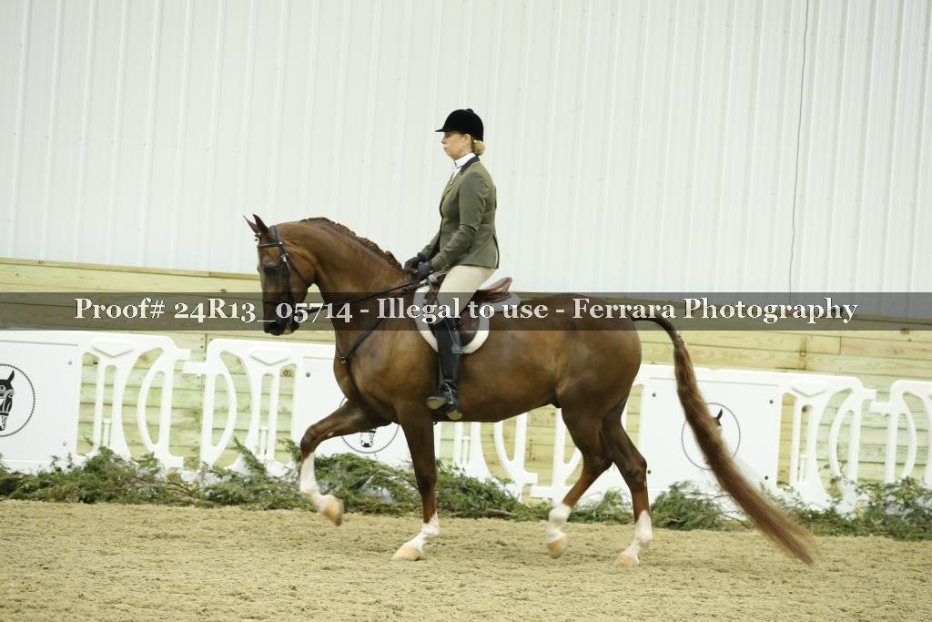 Proof 24R13_05714