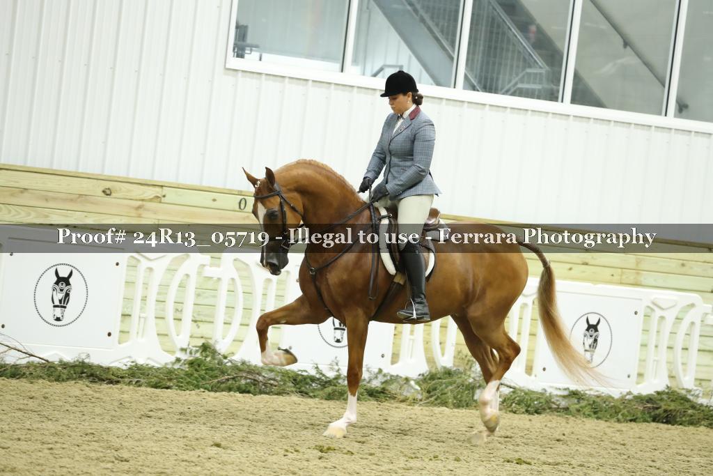 Proof 24R13_05719