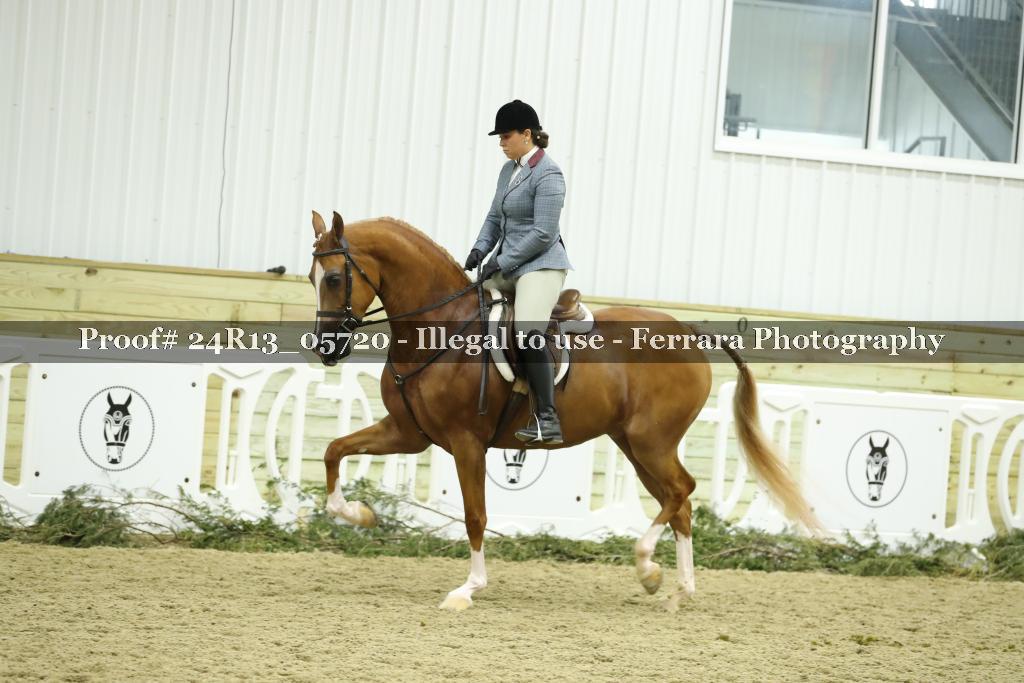 Proof 24R13_05720