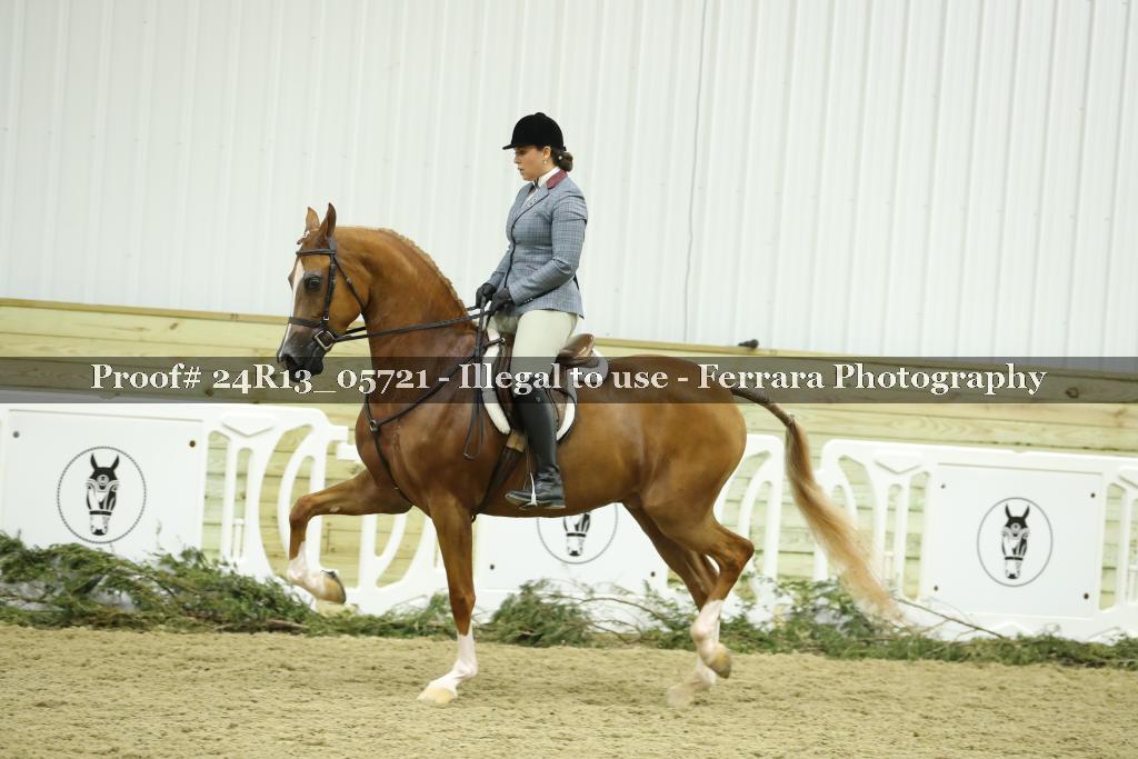 Proof 24R13_05721