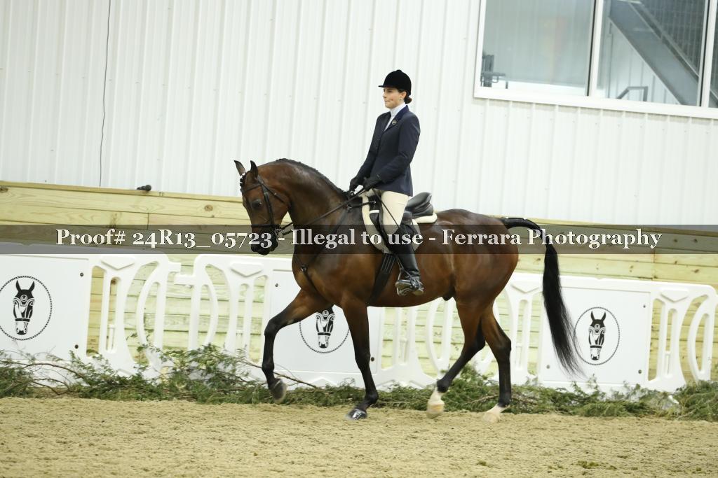 Proof 24R13_05723