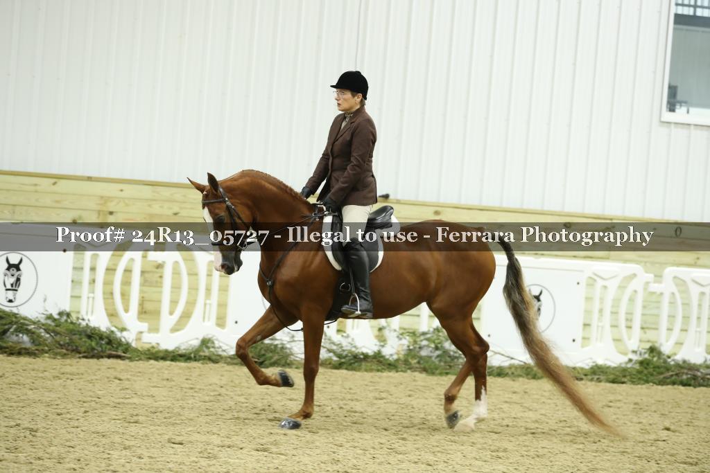 Proof 24R13_05727