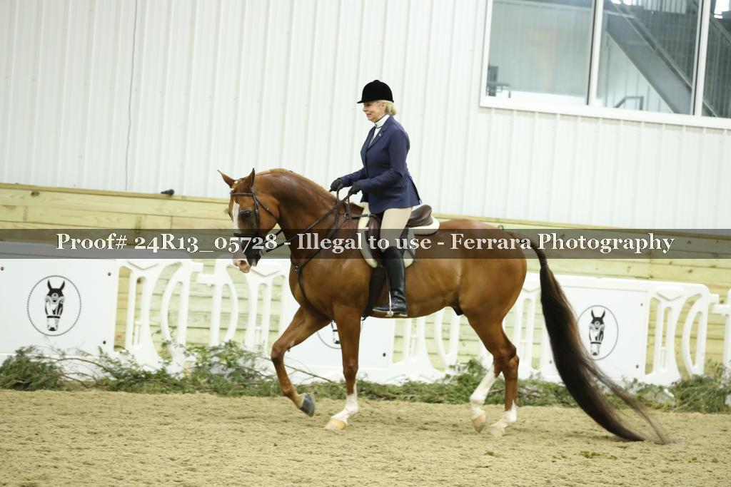 Proof 24R13_05728